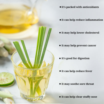 Lemongrass Antifungal Live Plant (pack of 2)