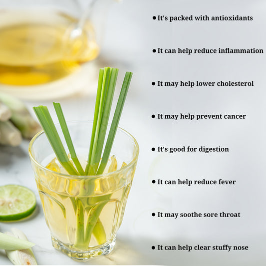 Lemongrass Live Plant (Pack of 2) - Fresh Aromatic Herb